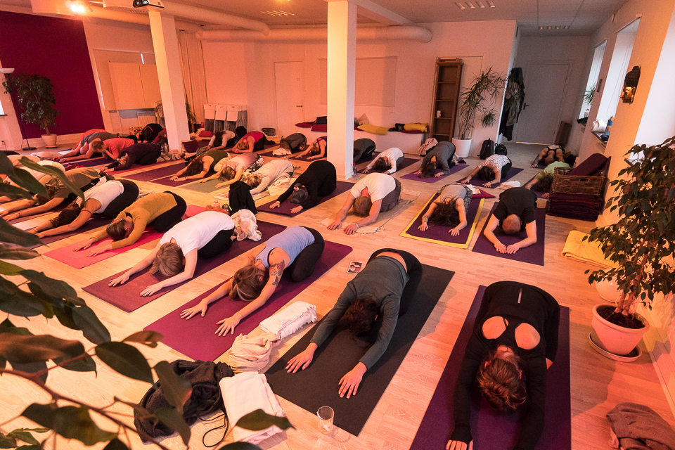 Yoga Immersion Day