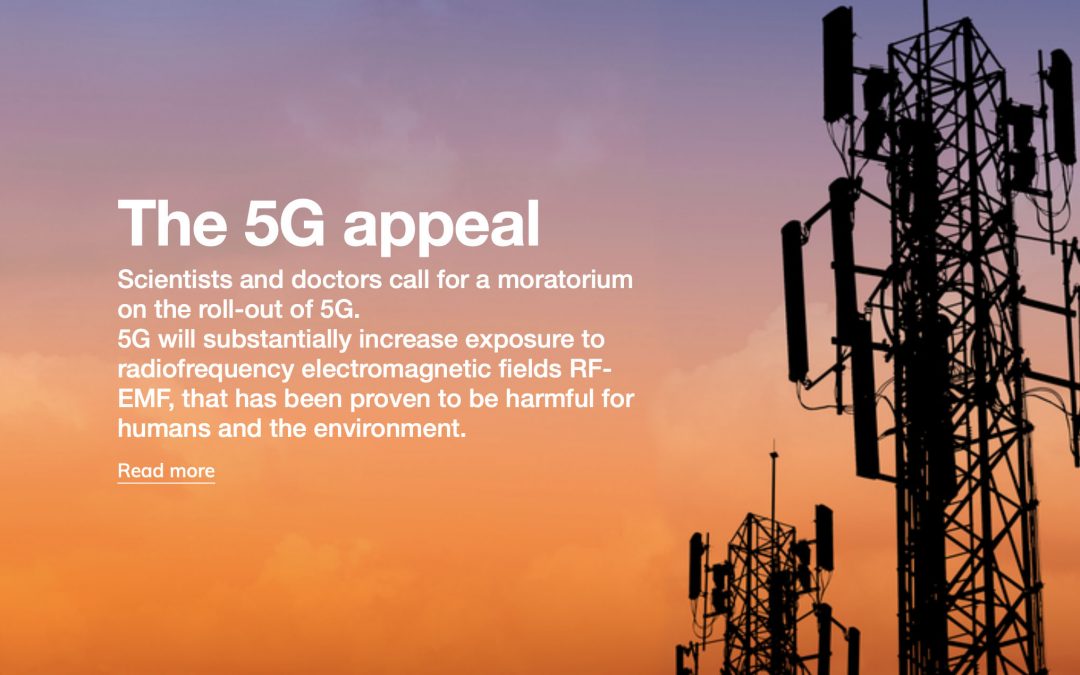 The 5G Appeal